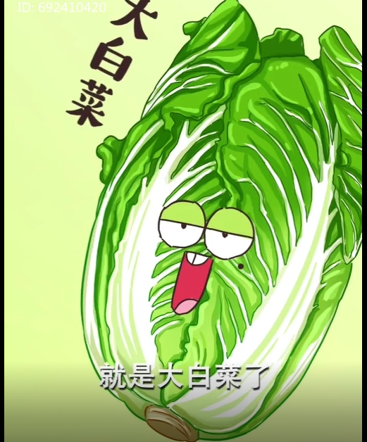 北方的冬天之大白菜